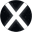 100x Coin (100X)