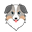 Australian Safe Shepherd (ASS)