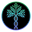 Biometric Financial (BIOFI)