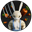 Bunny Farm (BNF)