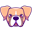 Boxer Inu (BOXER)