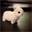 bunicoin (BUNI)