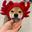 CanYaCoin (CAN)