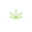 The CanCoin (CANNA)