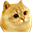 Catge Coin (CATGE)