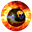 CBOMBER (CBOMBER)