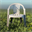 chair (CHAIR)
