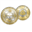 Crypto Holding Frank Token (CHFT)