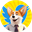 CORGI CEO (CORGICEO)