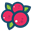 Cranberry (CRNBRY)