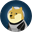DOGE-1 (DOGE1)