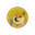 dogecast (DOGECAST)