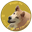 Doggo Inu (DOGGO)
