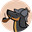 Daxhund (DXH)