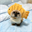 Fatcoin (FAT)