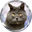 FEDJA CAT (FEDJA)