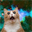 felicette the space cat (FELICETTE)