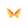 Flapp (FLAP)