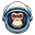 Ham the Astrochimp (HAM)