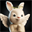 Hare Chain (HAREC)