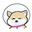 HuskyShiba (HSHIBA)