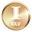 IDLV Token (IDLV)