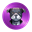 JAXInu (JAXINU)