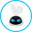 MEFLEX (MEF)