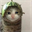 Melon Dog (MELON)