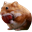 nomnom (NOMNOM)