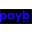 PayB (PAYB)