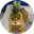 Pineapple Cat (PCAT)