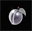 PLUMS (PLUMS)
