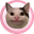 Polite Cat (POCAT)