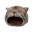 Popcat (POPCAT)