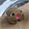 POPO (POPO)