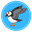 Puffin Global (PUFFIN)