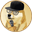 RapDoge (RAPDOGE)