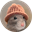 RatWifHat (RATWIF)