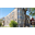 RealT Token - 1542 S Ridgeway Ave, Chicago, IL 60623 (REALTOKEN-S-1542-S.RIDGEWAY-AVE-)