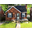 RealT Token - 9309 Courville St, Detroit, MI 48224 (REALTOKEN-S-9309-COURVILLE-ST-DE)