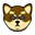Doge Reloaded (RELOADED)