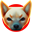 Shibagun (SHIBGUN)