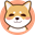 SHIBA BSC (SHIBSC)