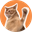 CatSlap (SLAP)