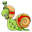 Snail Race (SNAILS)