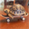 Tech Deck Turtle (TDT)