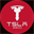 Tessla Coin (TSLA)
