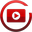 PureVidz (VIDZ)