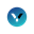 Vapor Wallet (VPR)